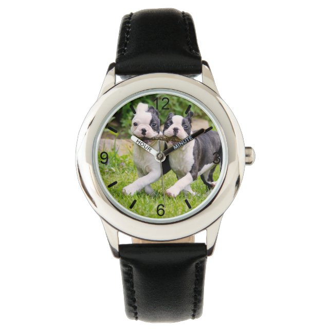 Niedliche lustige Boston Terrier Hunde spielen - Armbanduhr (Vorderseite)