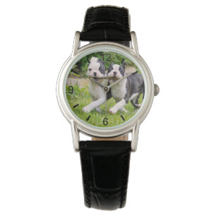 Niedliche lustige Boston Terrier Hunde spielen Wel Armbanduhr