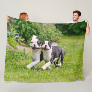 Niedliche lustige Boston Terrier Hunde Welpen spie Fleecedecke