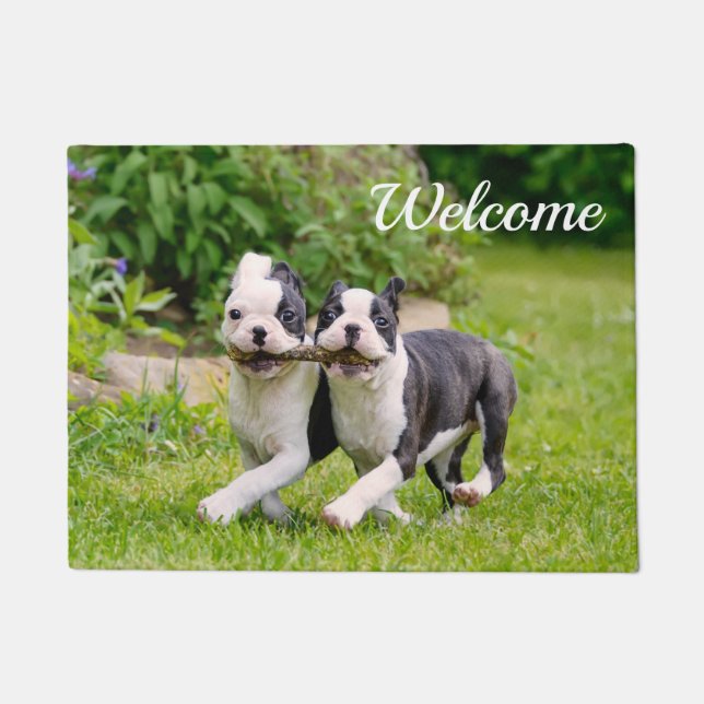 Niedliche lustige Boston Terrier Hunde Welpen spie Fußmatte (Vorderseite)