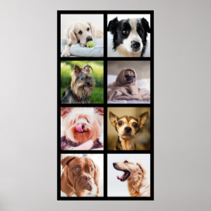 Niedliche & lustige Hunde Foto Collage Poster 2