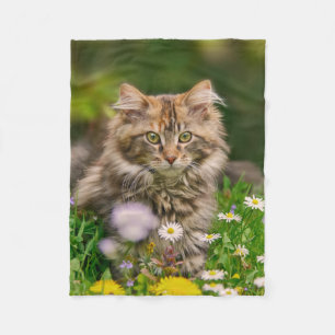 Niedliche Maine Coon Kitten Cat in Blume Fleecedecke