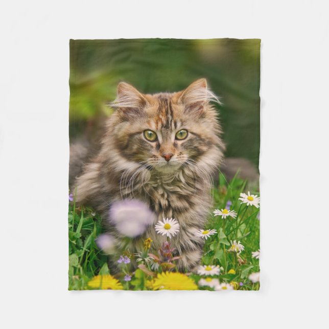 Niedliche Maine Coon Kitten Cat in Blume Fleecedecke (Vorderseite)