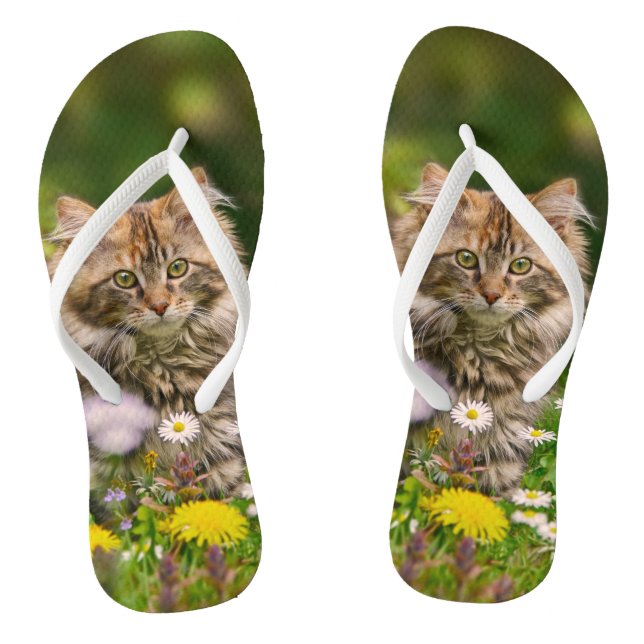 Niedliche Maine Coon Kitten Cat in Blume Wiese Fot Flip Flops (Fußbett)