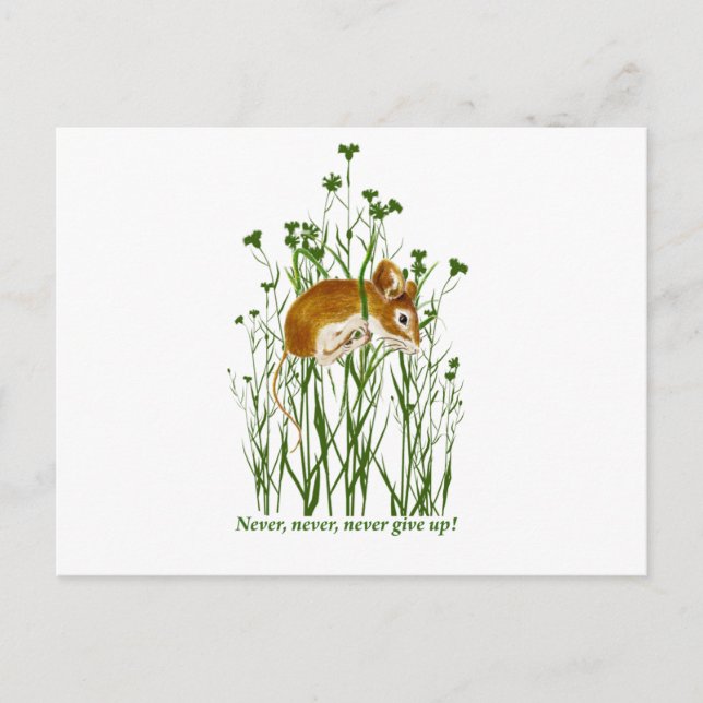 Niedliche Maus Motivierend Zitat nie aufgeben Postkarte (Vorderseite)