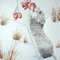 Niedliche Mäuse und rote Beeren Schneeszene Wildku