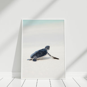 Niedliche Meeresschildkröte am Strand Poster