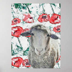 Niedliche Merino Sheep Animal Red Poppy Blume Poster