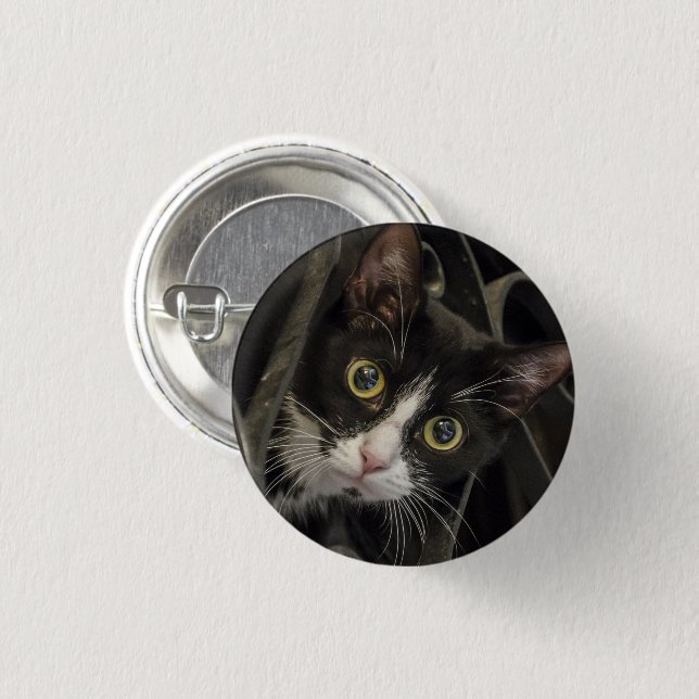 Niedliche, Mit Augen Tuxedo Katzenwand Button (Vorne & Hinten)