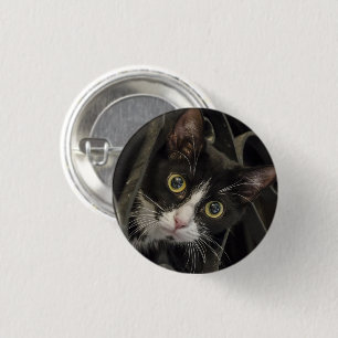 Niedliche, Mit Augen Tuxedo Katzenwand Button