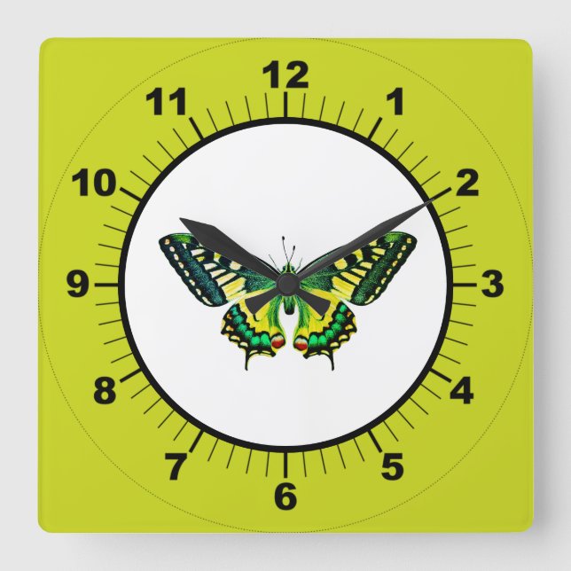 Niedliche moderne Fotografie Butterfly Green Quadratische Wanduhr (Vorderseite)