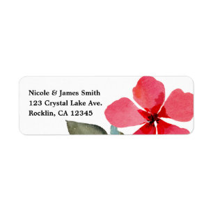 Niedliche Mohnblumen Rote Frühlingsblumen Blumenge