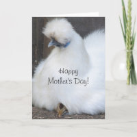 Niedliche Muttertagskarte für Küken/Huhn