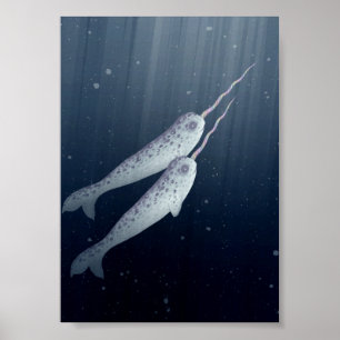Niedliche Narwhals schwimmen unter Wasser Poster