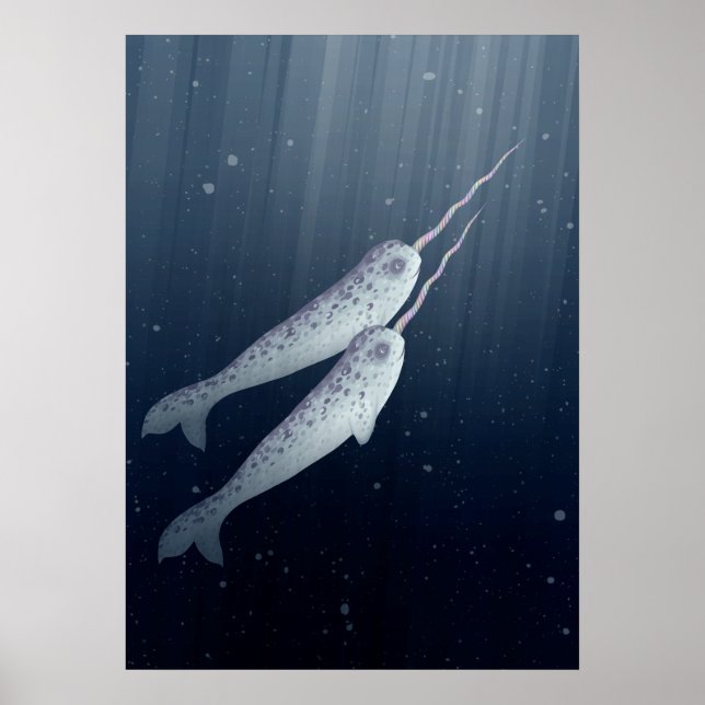 Niedliche Narwhals schwimmen unter Wasser Poster (Vorne)