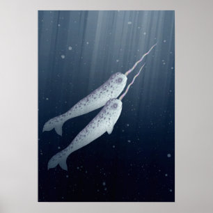 Niedliche Narwhals schwimmen unter Wasser Poster