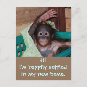 Niedliche neue Zuhause-Adressänderung Ankündigungspostkarte