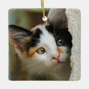 Niedliche, neugierige Katze mit neugierigen Augen  Keramikornament