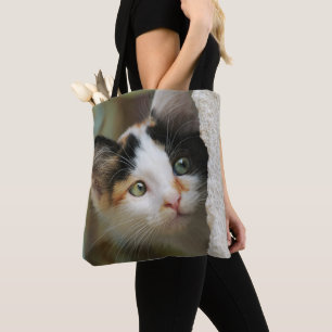 Niedliche, neugierige Katze Pneeaugen - auf Shoppe