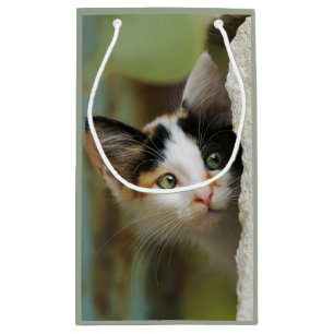 Niedliche, neugierige Katzenjacke Painting Eyes Po Kleine Geschenktüte