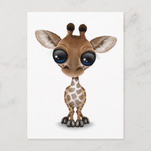 Niedliche Neugierige Kindergiraffe Postkarte