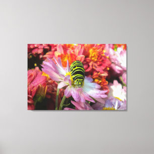 Niedliche Nosy-Raupe N Mas Wrapped Canvas Leinwanddruck