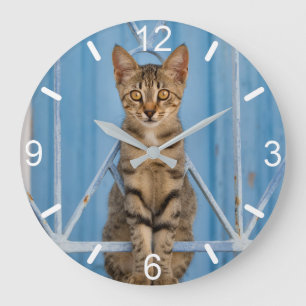 Niedliche Nosy Tabby Kitten Sitzen in einem blauen Große Wanduhr