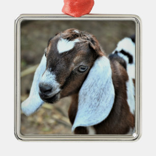Niedliche nubische Milchziege Kid Ornament Aus Metall