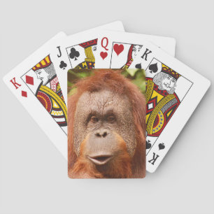 Niedliche Orang-Utan Spielkarten