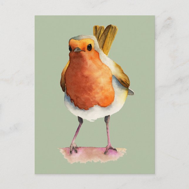 Niedliche Orange Robin Bird Wasserfarbe Kunst Postkarte (Vorderseite)