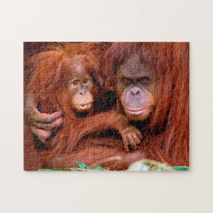 Niedliche Orangutan Mama und Baby, Jigsaw Puzzle