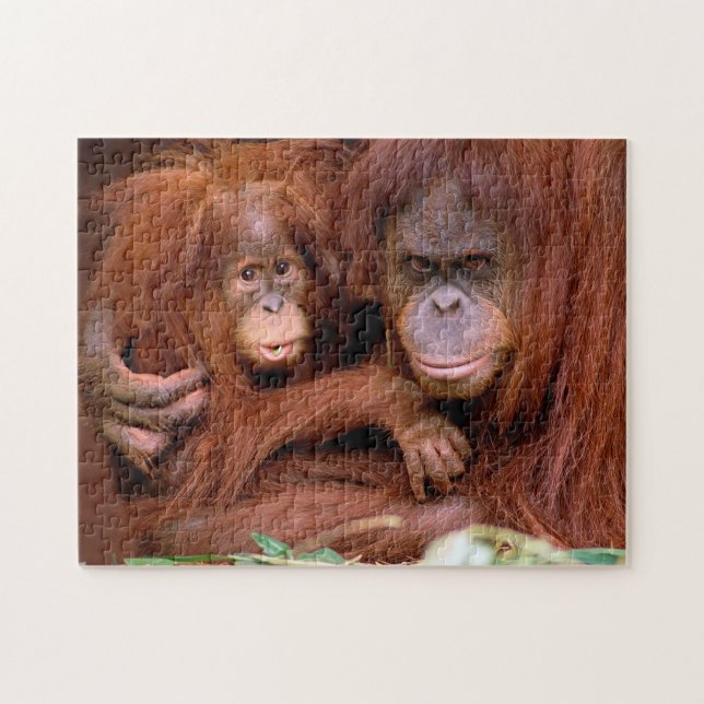 Niedliche Orangutan Mama und Baby, Jigsaw Puzzle (Horizontal)
