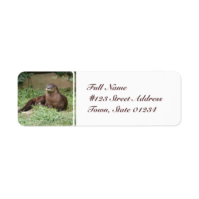 Niedliche Otter-Mailing-Labels (Vorne)