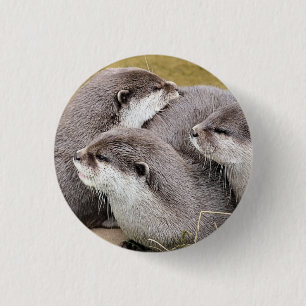 NIEDLICHE OTTERS BUTTON