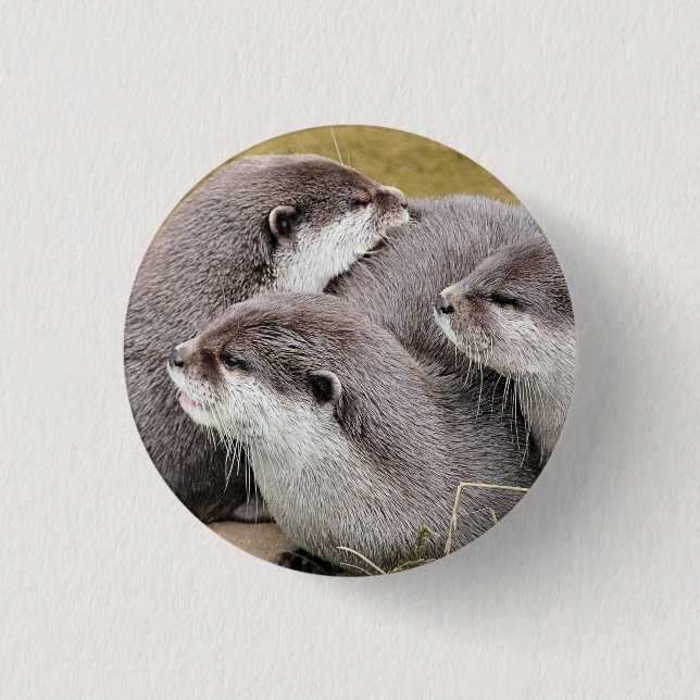 NIEDLICHE OTTERS BUTTON (Vorderseite)