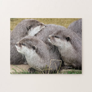 NIEDLICHE OTTERS PUZZLE