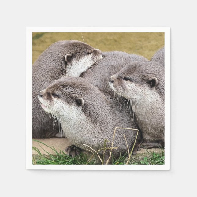 NIEDLICHE OTTERS SERVIETTE (Vorderseite)