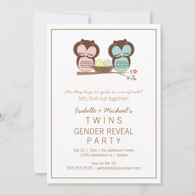 Niedliche Owls Twin Baby Gender Reveal Party Einla Einladung (Vorderseite)