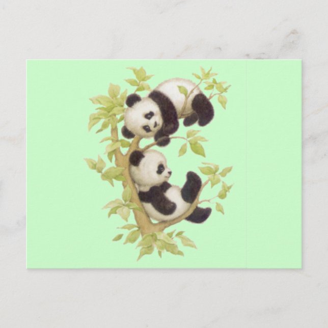 Niedliche Pandas Postkarte (Vorderseite)