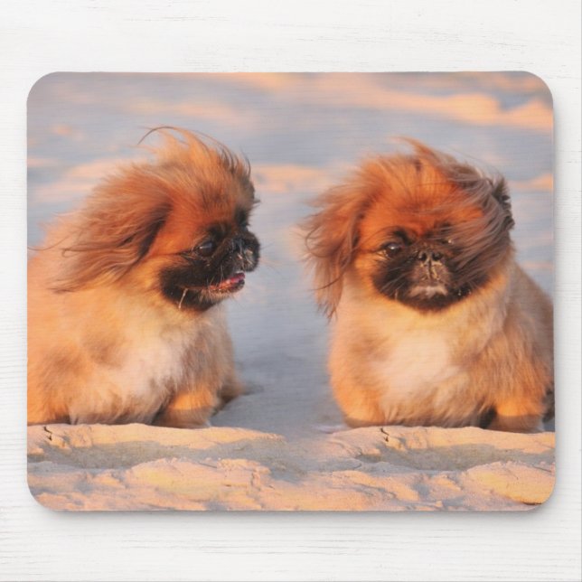 Niedliche Pekingese Hunde Mousepad (Vorne)