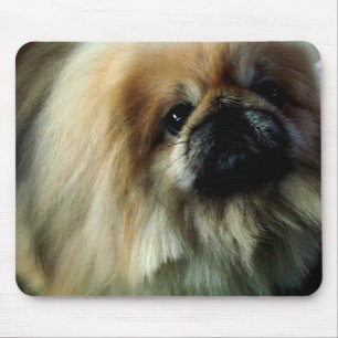 Niedliche Pekingese Mausunterlage Mousepad
