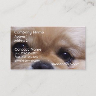 Niedliche Pekingese Welpen-Geschäfts-Karten Visitenkarte