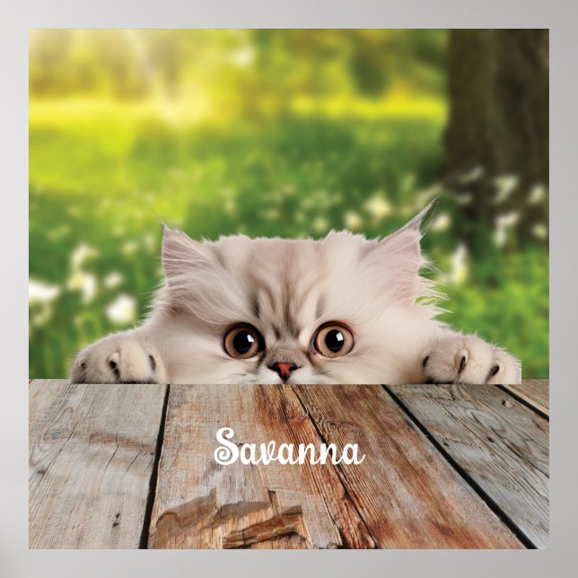 Niedliche Persische Peeking-Katze Poster (Vorne)