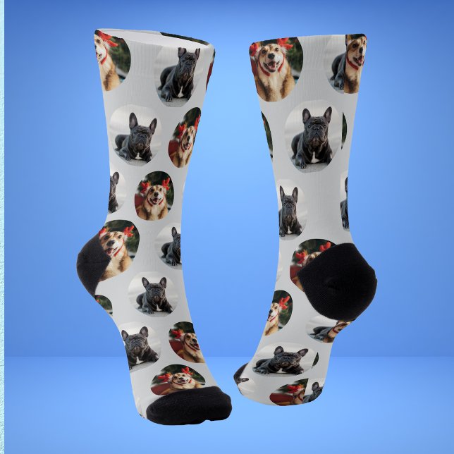 Niedliche Pet 2 Dog Foto Socken (Von Creator hochgeladen)