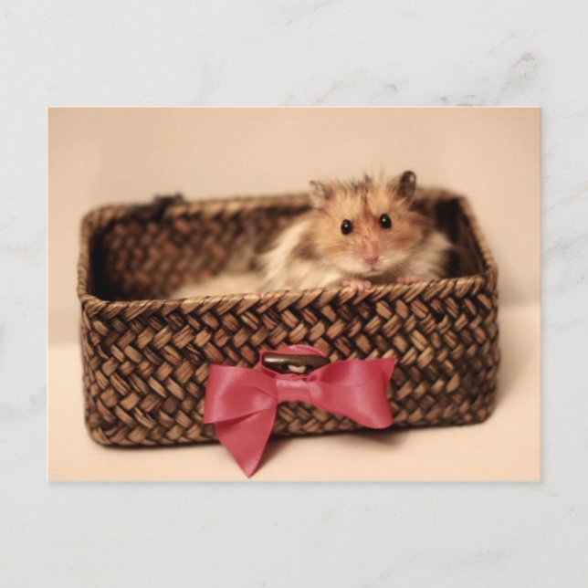 Niedliche PetL0ve-Postkarte Postkarte (Vorderseite)