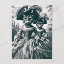 Niedliche Piratenkatzen