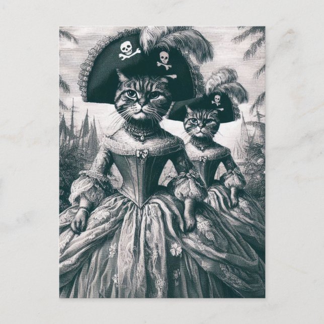 Niedliche Piratenkatzen Postkarte (Vorderseite)