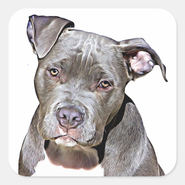 Niedliche Pit Bull Dog Stickers (Vorderseite)