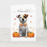 Niedliche Pit Bull Ernsthafte Fallpumpen