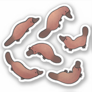 Niedliche Platypus Aufkleber